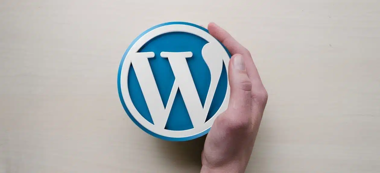 Top WordPress Blog Themes in 2020